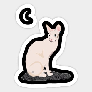 Cat Sticker